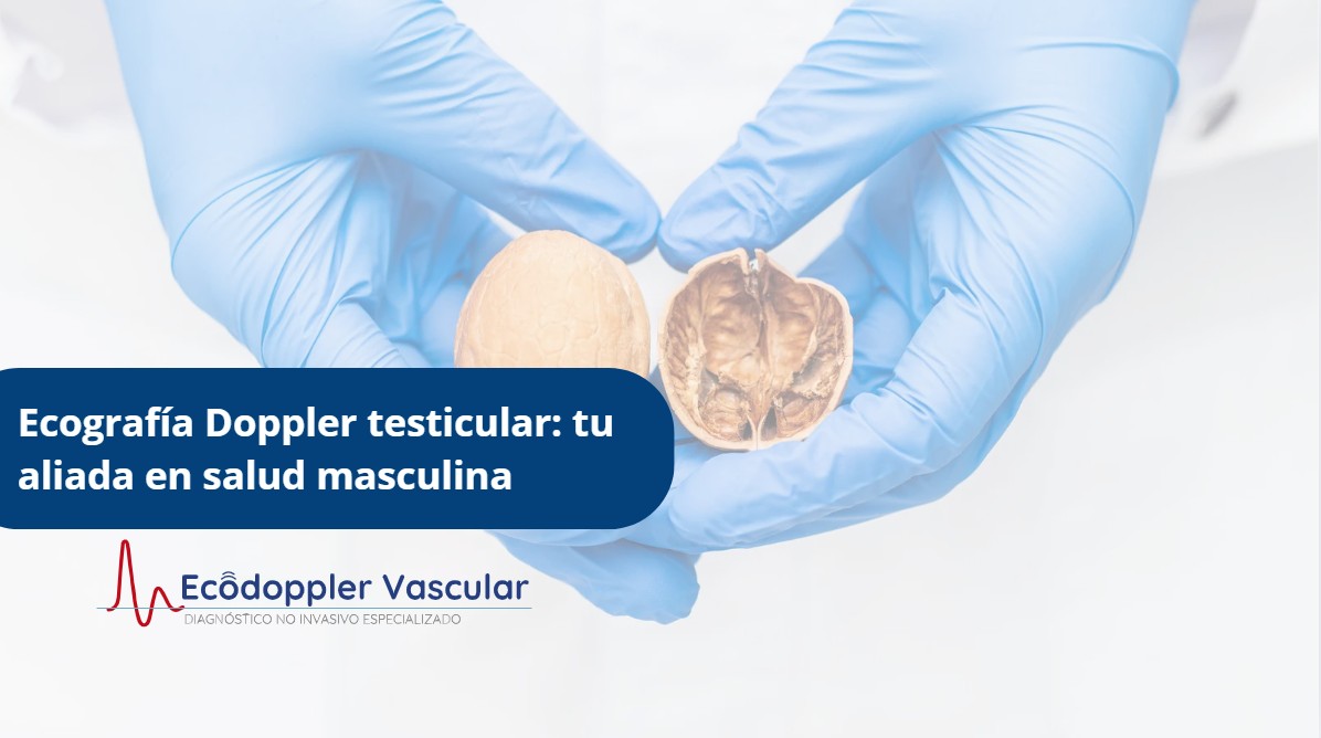 Ecografía Doppler testicular-Ecodoppler